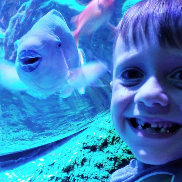 daily picdump 100 pics 45.html - 100 HD Photos | Premium Gallery 2018