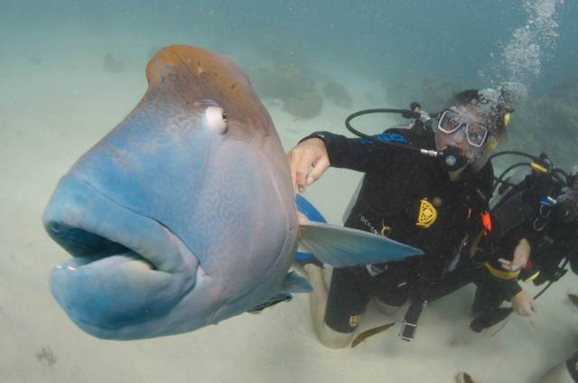 daily picdump 100 pics 45.html - 100 HD Photos | Premium Gallery 2018