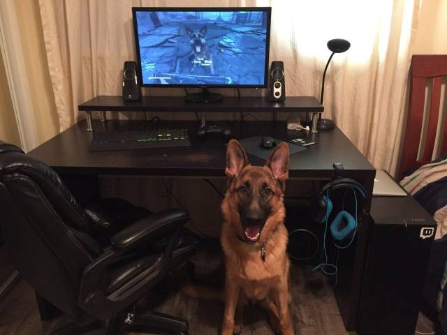 daily picdump 100 pics 45.html - 100 HD Photos | Premium Gallery 2018