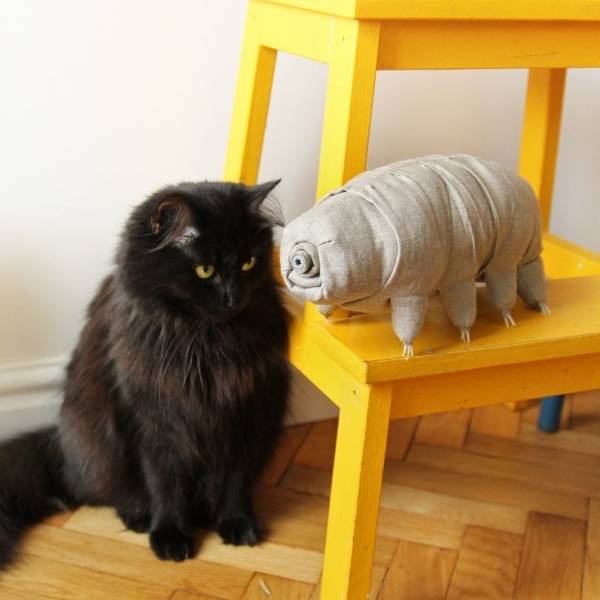 daily picdump 100 pics 45.html - 100 HD Photos | Premium Gallery 2018