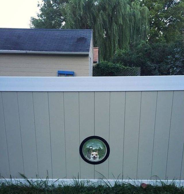 daily picdump 100 pics 45.html - 100 HD Photos | Premium Gallery 2018