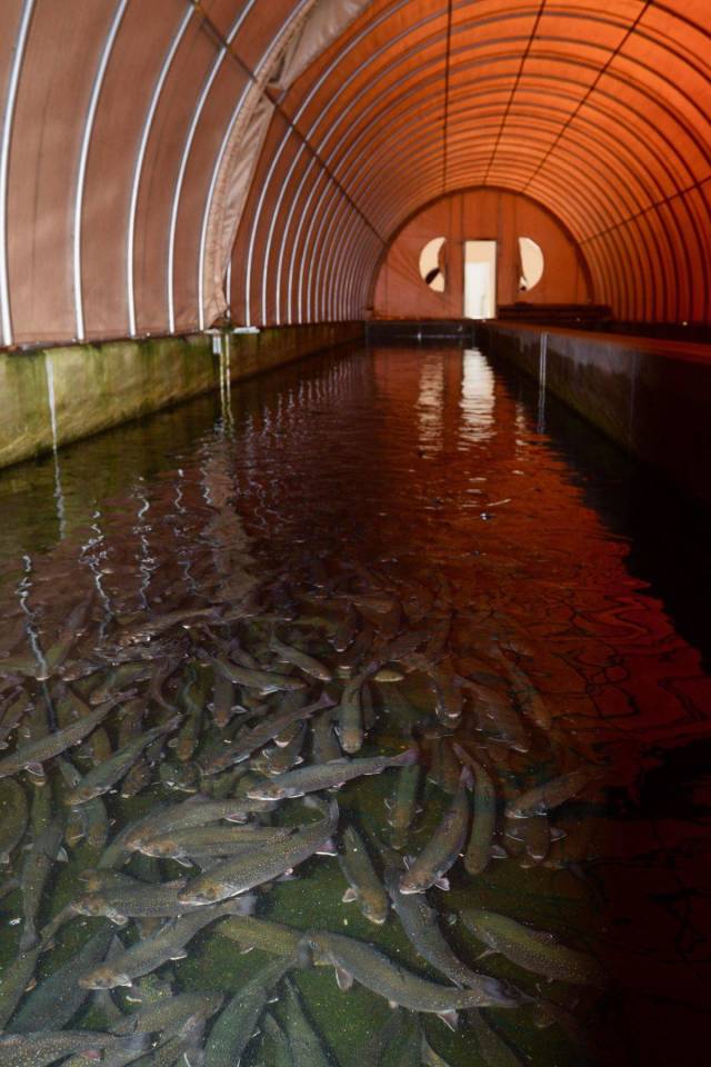 daily picdump 100 pics 45.html - 100 HD Photos | Premium Gallery 2018