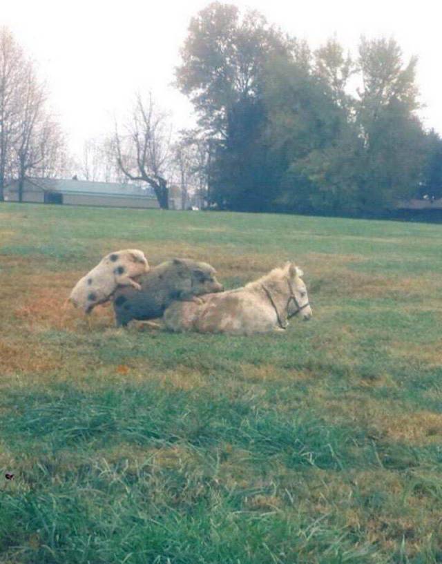 daily picdump 100 pics 45.html - 100 HD Photos | Premium Gallery 2018