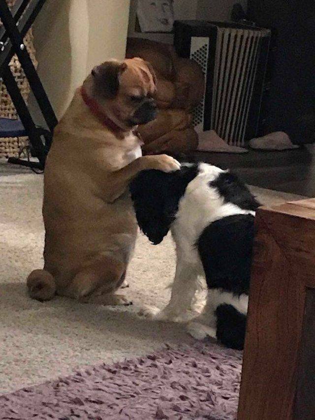 daily picdump 100 pics 45.html - 100 HD Photos | Premium Gallery 2018