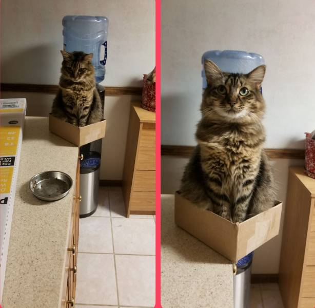 daily picdump 93 pics 3.html - 93 HD Photos | Premium Gallery 2018