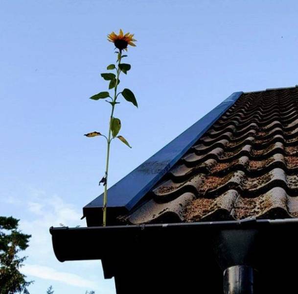 daily picdump 93 pics 3.html - 93 HD Photos | Premium Gallery 2018