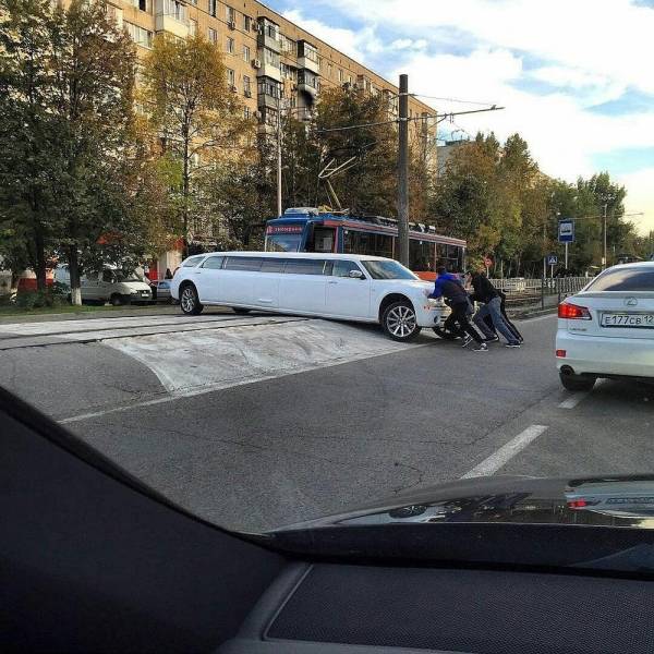 daily picdump 93 pics 3.html - 93 HD Photos | Premium Gallery 2018