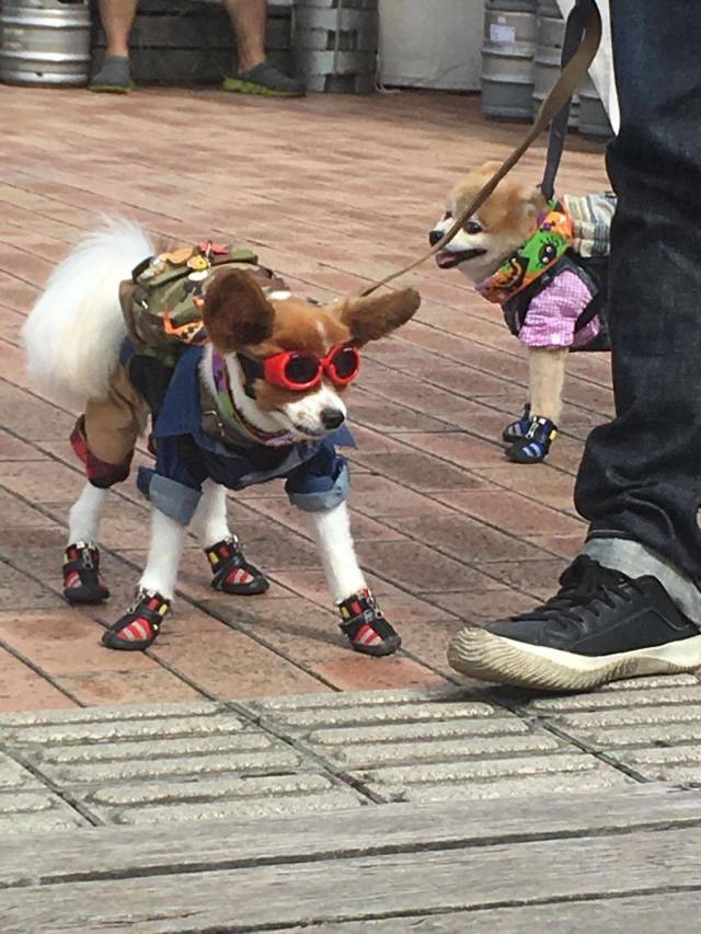 daily picdump 93 pics 3.html - 93 HD Photos | Premium Gallery 2018