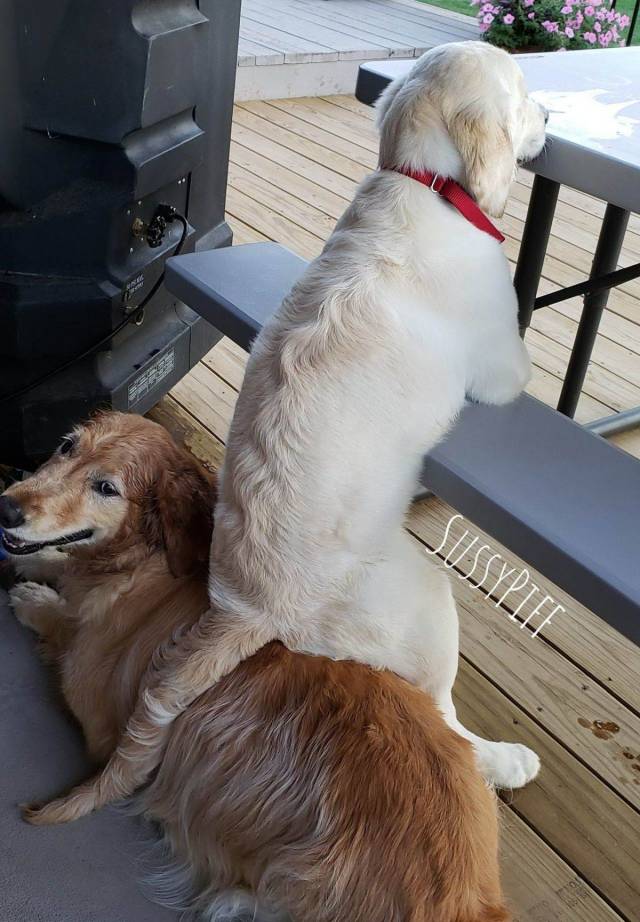 daily picdump 93 pics 3.html - 93 HD Photos | Premium Gallery 2018