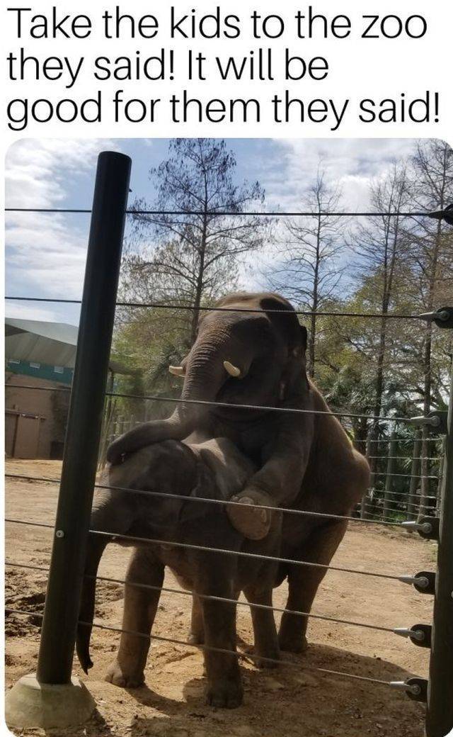 daily picdump 93 pics 3.html - 93 HD Photos | Premium Gallery 2018