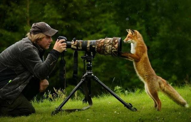 daily picdump 99 pics 3.html - 99 HD Photos | Premium Gallery 2018