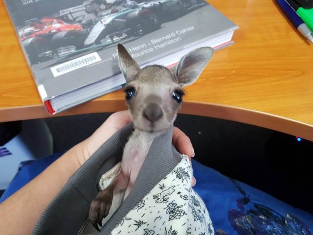 daily picdump 99 pics 3.html - 99 HD Photos | Premium Gallery 2018