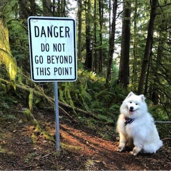 daily picdump 99 pics 3.html - 99 HD Photos | Premium Gallery 2018