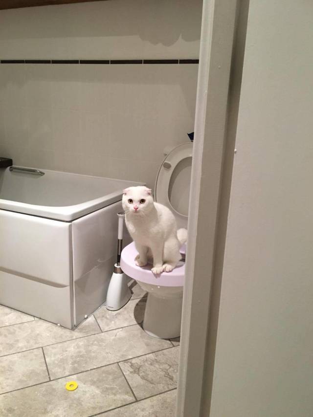 daily picdump 99 pics 3.html - 99 HD Photos | Premium Gallery 2018