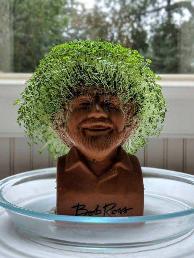 daily picdump 99 pics 3.html - 99 HD Photos | Premium Gallery 2018