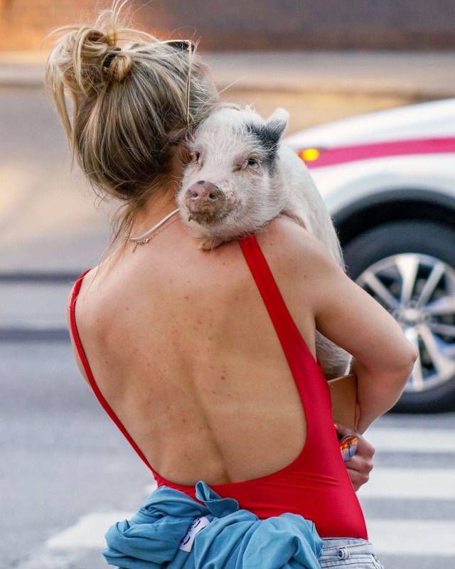 daily picdump 99 pics 3.html - 99 HD Photos | Premium Gallery 2018