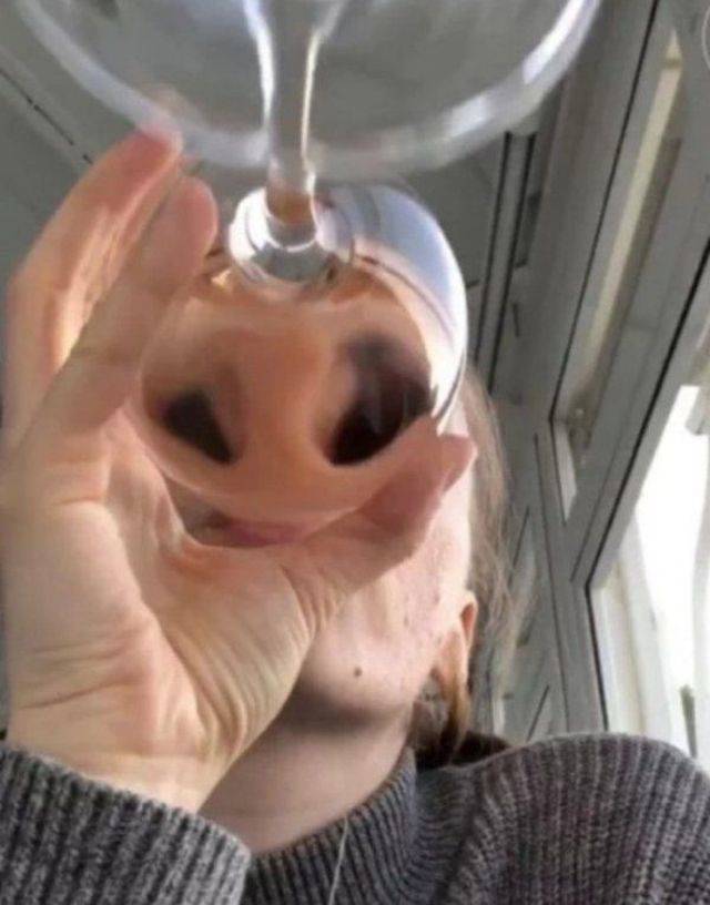 daily picdump 99 pics 3.html - 99 HD Photos | Premium Gallery 2018