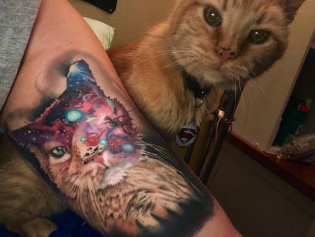 morning picdump 51 pics 17.html - 51 HD Photos | Premium Gallery 2018