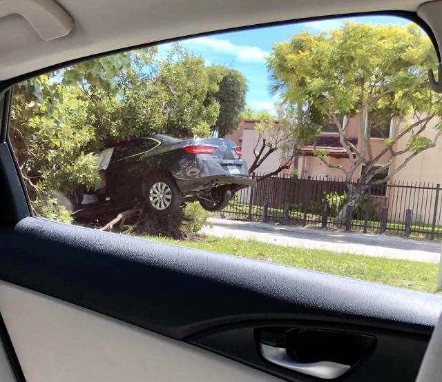 morning picdump 51 pics 17.html - 51 HD Photos | Premium Gallery 2018