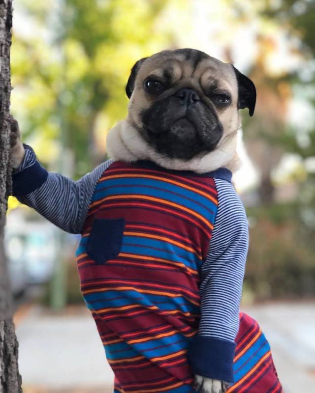 morning picdump 51 pics 17.html - 51 HD Photos | Premium Gallery 2018