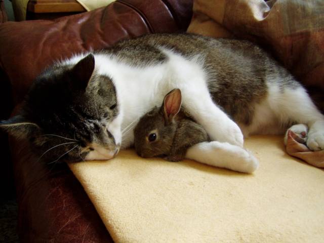 daily picdump 93 pics 36.html - 93 HD Photos | Premium Gallery 2018