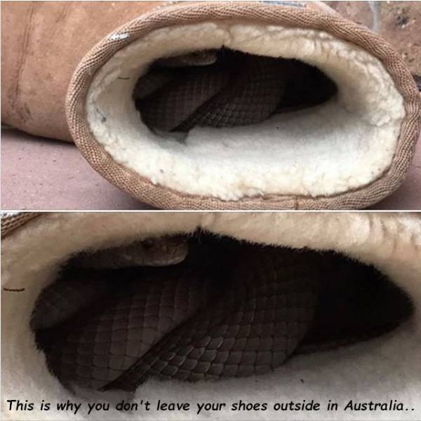 daily picdump 93 pics 36.html - 93 HD Photos | Premium Gallery 2018