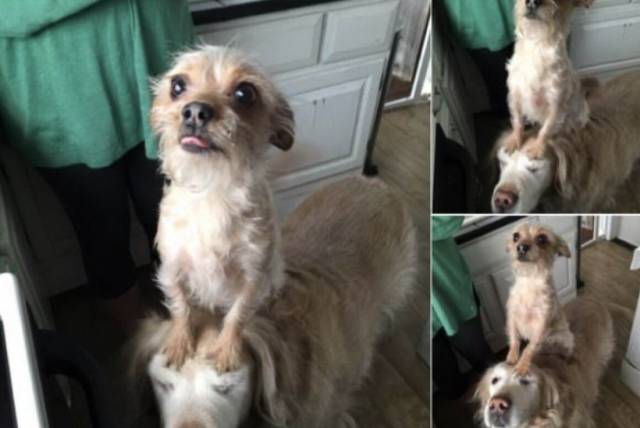 daily picdump 93 pics 36.html - 93 HD Photos | Premium Gallery 2018