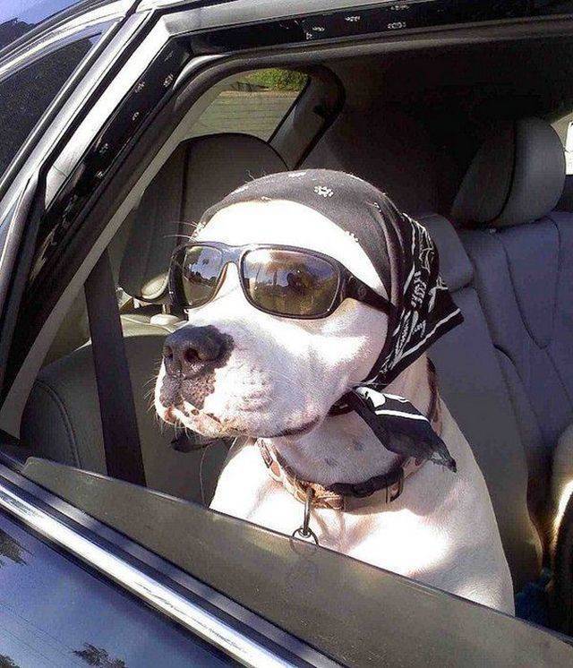 daily picdump 93 pics 36.html - 93 HD Photos | Premium Gallery 2018