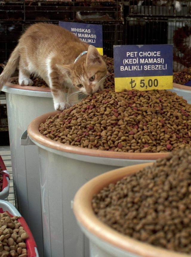 daily picdump 93 pics 36.html - 93 HD Photos | Premium Gallery 2018