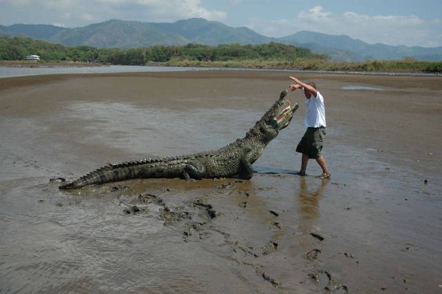 Darwin’s Award Will Never Run Out Of Competitors