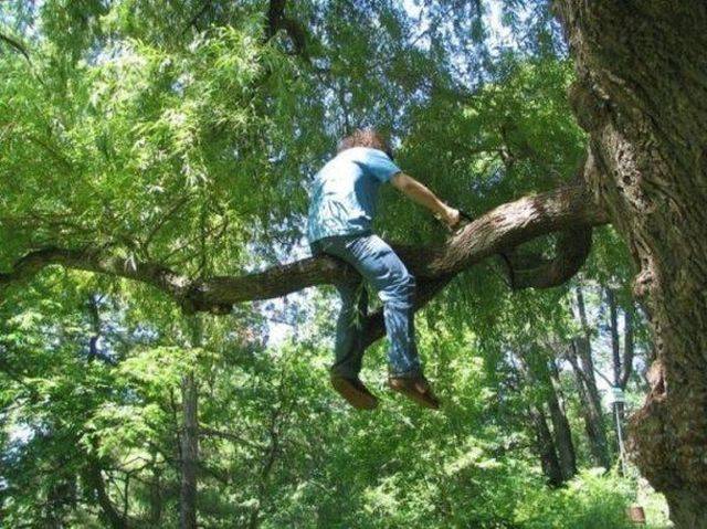 Darwin’s Award Will Never Run Out Of Competitors