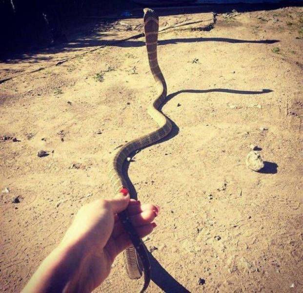 Darwin’s Award Will Never Run Out Of Competitors