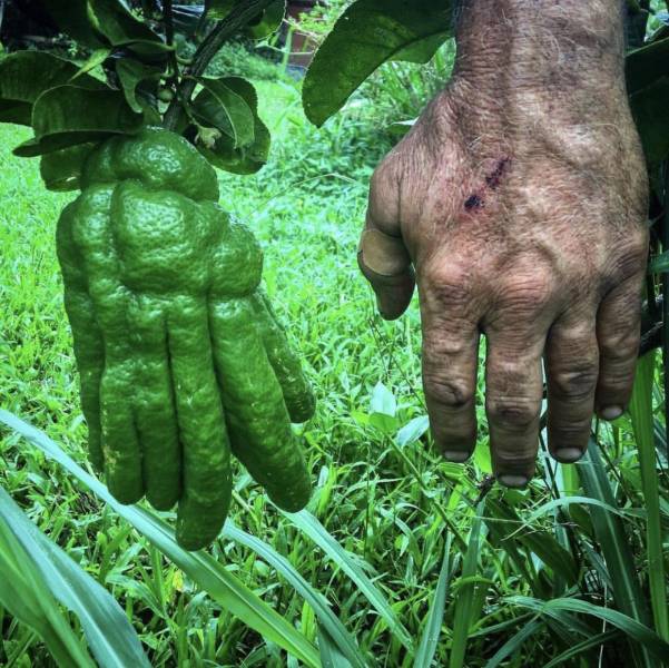 morning picdump 51 pics 19.html - 51 HD Photos | Premium Gallery 2018