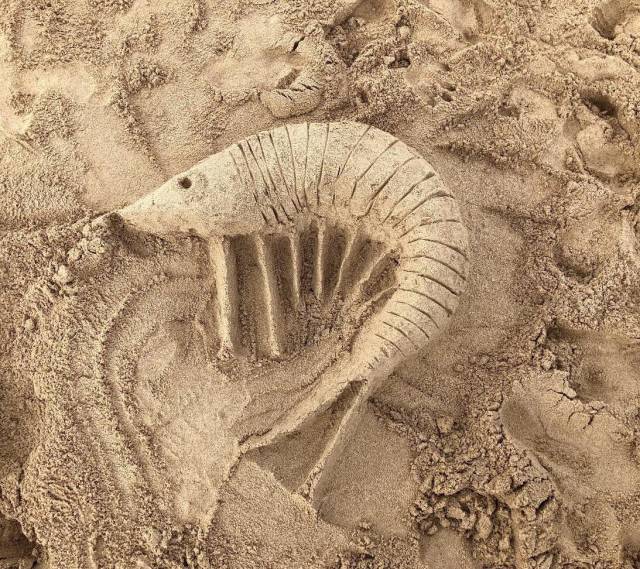 morning picdump 51 pics 19.html - 51 HD Photos | Premium Gallery 2018