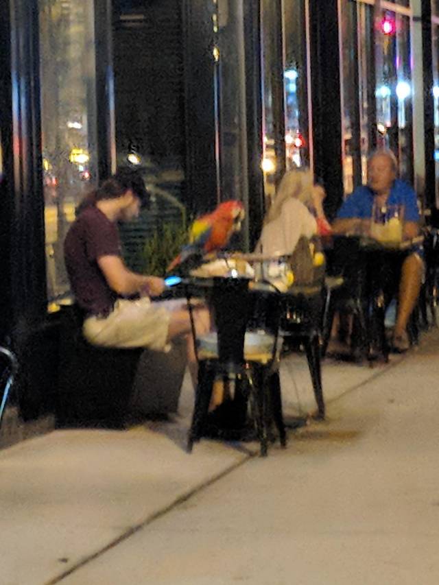 morning picdump 51 pics 19.html - 51 HD Photos | Premium Gallery 2018