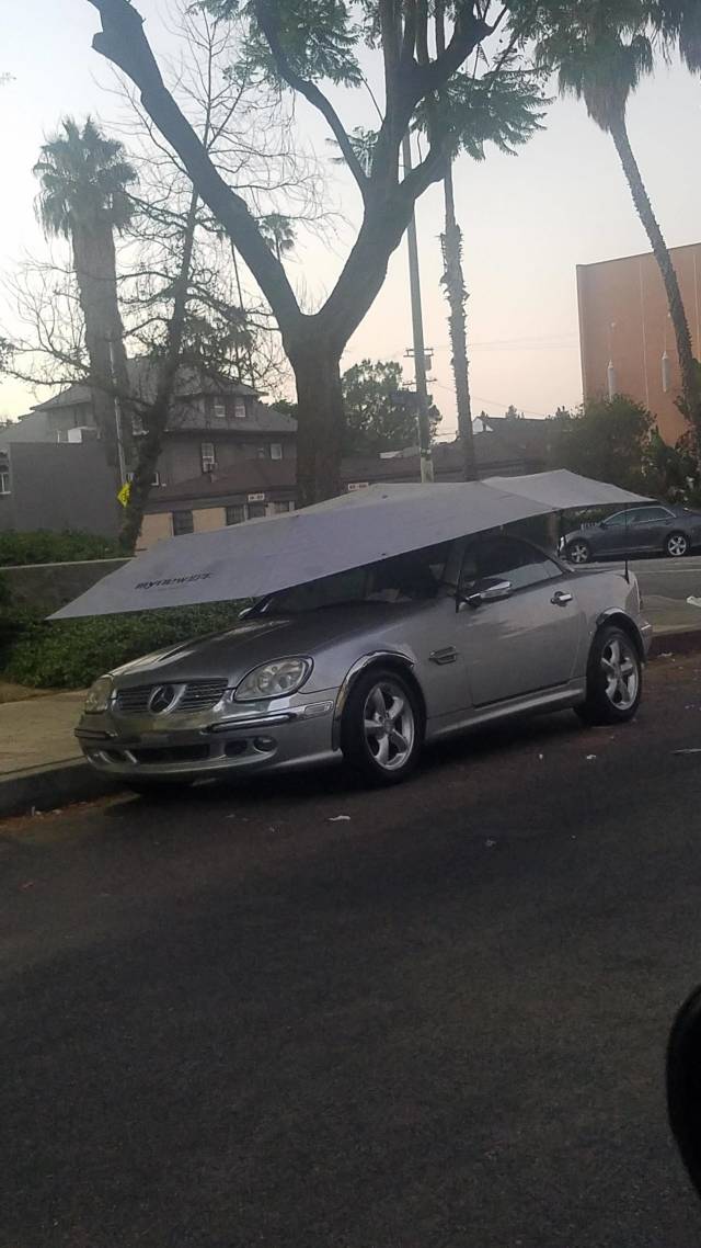 morning picdump 51 pics 19.html - 51 HD Photos | Premium Gallery 2018