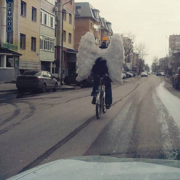 daily picdump 98 pics 9.html - 98 HD Photos | Premium Gallery 2018