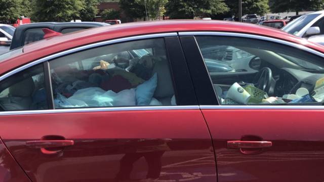 daily picdump 98 pics 9.html - 98 HD Photos | Premium Gallery 2018