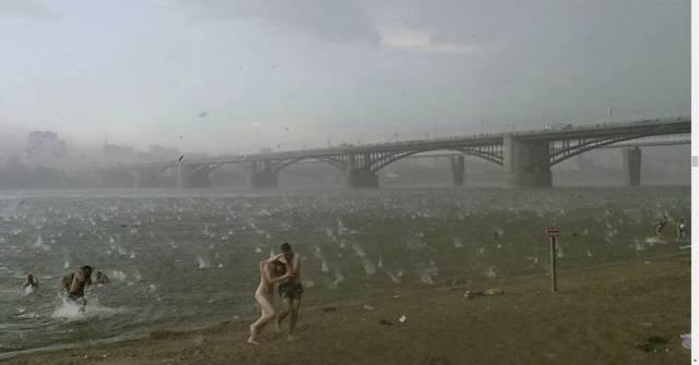 daily picdump 98 pics 9.html - 98 HD Photos | Premium Gallery 2018