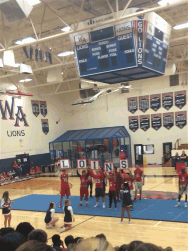 daily picdump 98 pics 9.html - 98 HD Photos | Premium Gallery 2018