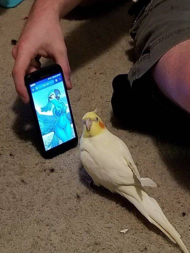 daily picdump 98 pics 9.html - 98 HD Photos | Premium Gallery 2018