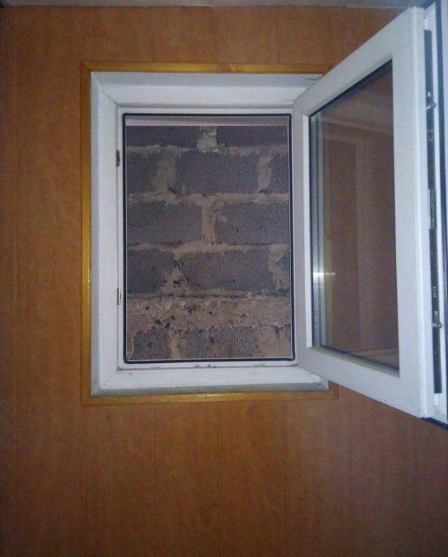 daily picdump 98 pics 9.html - 98 HD Photos | Premium Gallery 2018