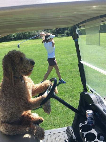 morning picdump 52 pics 9.html - 52 HD Photos | Premium Gallery 2018