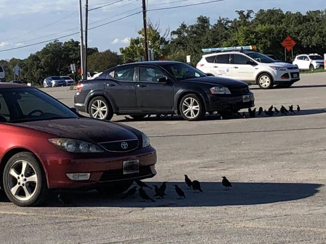 morning picdump 52 pics 9.html - 52 HD Photos | Premium Gallery 2018