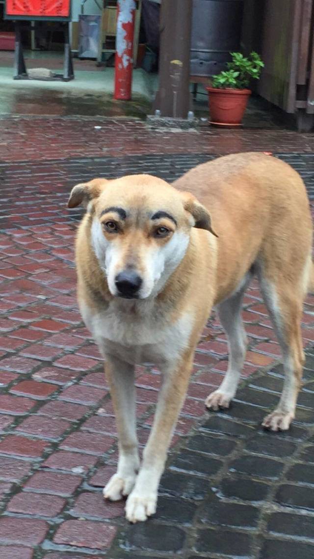 morning picdump 52 pics 9.html - 52 HD Photos | Premium Gallery 2018