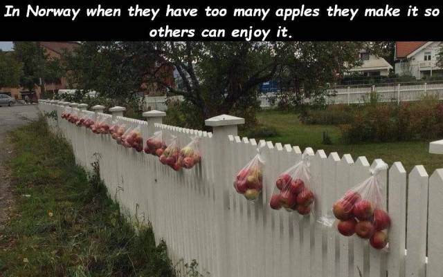 Daily Picdump [WEEKEND EDITION]