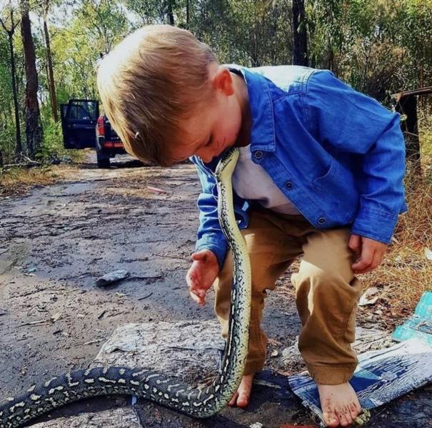 Daily Picdump [WEEKEND EDITION]