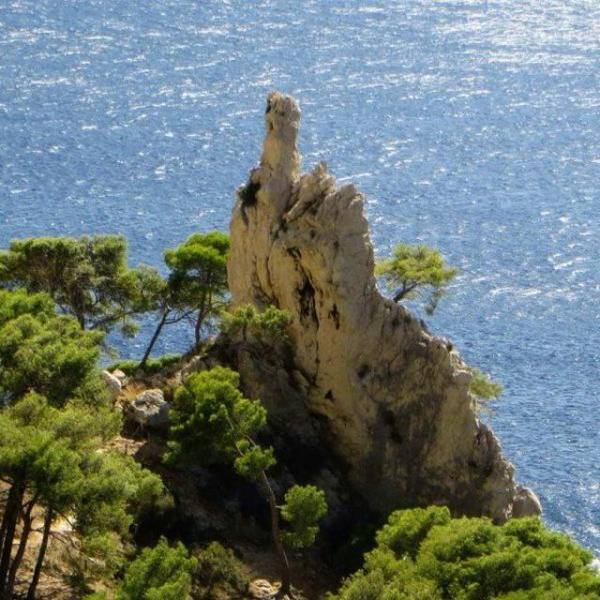 Daily Picdump [WEEKEND EDITION]