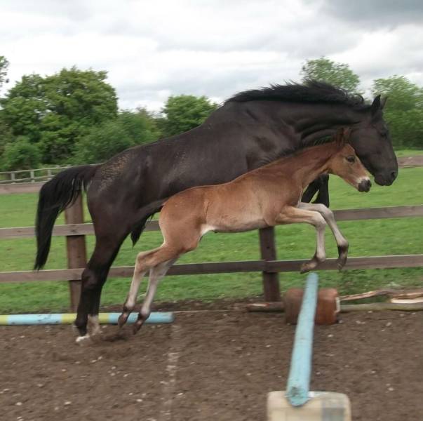 daily picdump weekend edition 76 pics 16.html - 76 HD Photos | Premium Gallery 2018