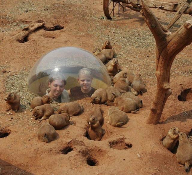 daily picdump weekend edition 76 pics 16.html - 76 HD Photos | Premium Gallery 2018